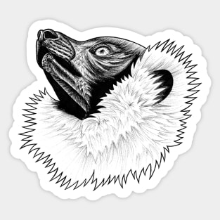 Ruffed lemur - ink illustration Sticker